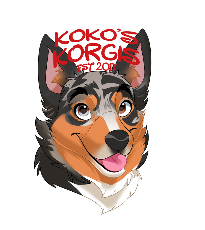 Kokos Korgis Kokos Korgis Logo